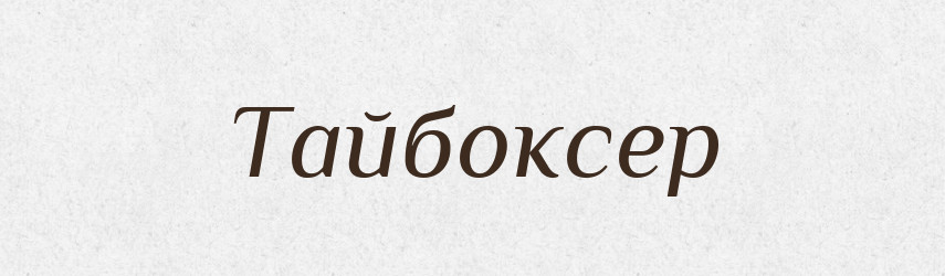 Тайбоксер — Великий тлумачний словник сучасної української мови