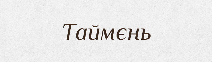 Таймєнь — Великий тлумачний словник сучасної української мови