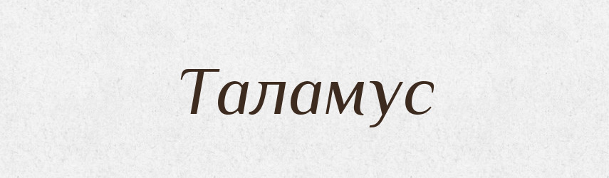 Таламус — Великий тлумачний словник сучасної української мови