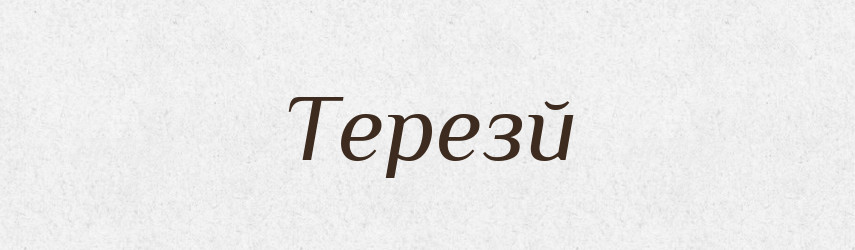 Терезй — Великий тлумачний словник сучасної української мови