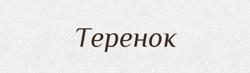 Теренок — Великий тлумачний словник сучасної української мови