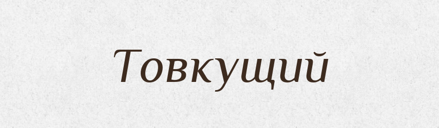 Товкущий — Великий тлумачний словник сучасної української мови