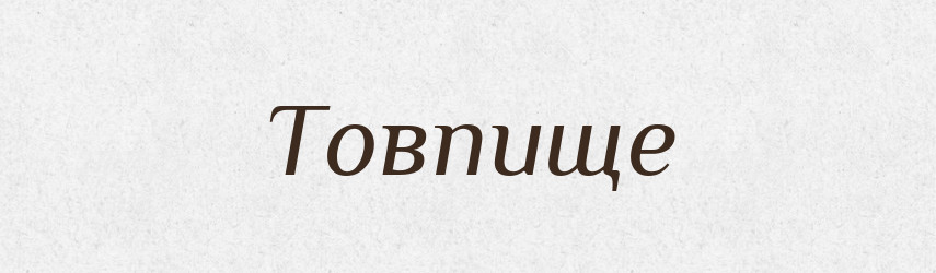 Товпище — Великий тлумачний словник сучасної української мови