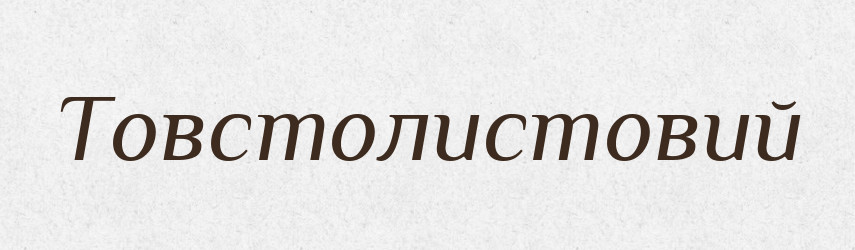 Товстолистовий — Великий тлумачний словник сучасної української мови