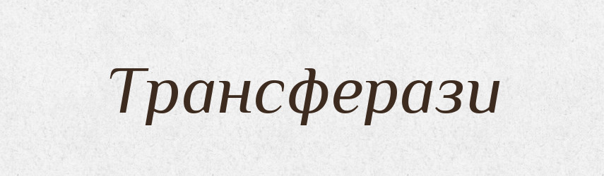 Трансферази — Великий тлумачний словник сучасної української мови