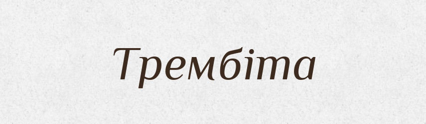 Трембіта — Великий тлумачний словник сучасної української мови