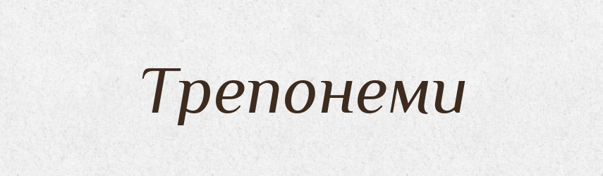 Трепонеми — Великий тлумачний словник сучасної української мови