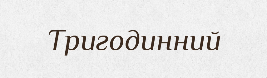 Тригодинний — Великий тлумачний словник сучасної української мови