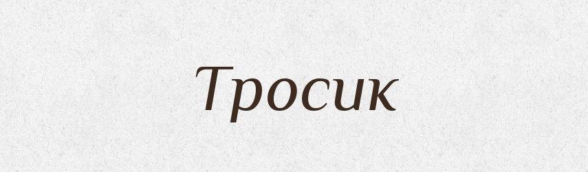 Тросик — Великий тлумачний словник сучасної української мови