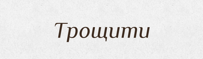Трощити — Великий тлумачний словник сучасної української мови