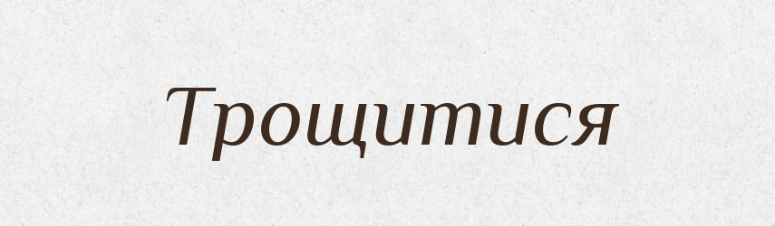 Трощитися — Великий тлумачний словник сучасної української мови