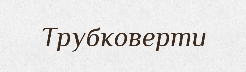 Трубковерти — Великий тлумачний словник сучасної української мови