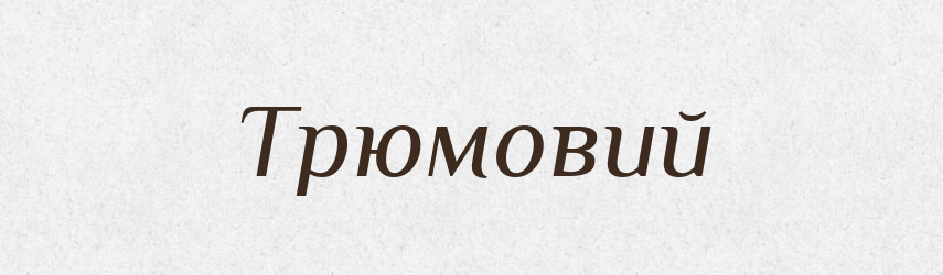 Трюмовий — Великий тлумачний словник сучасної української мови