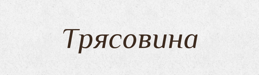Трясовина — Великий тлумачний словник сучасної української мови