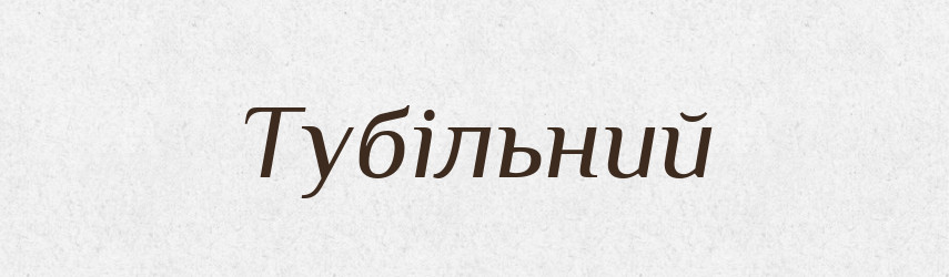 Тубільний — Великий тлумачний словник сучасної української мови