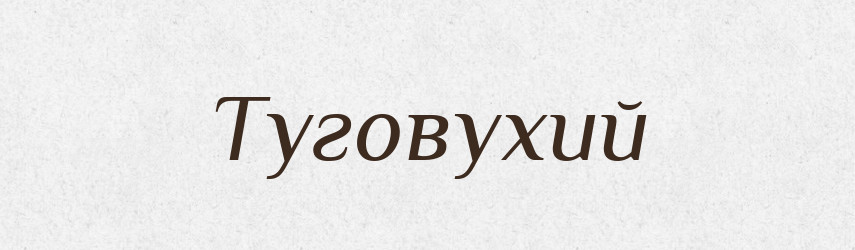 Туговухий — Великий тлумачний словник сучасної української мови