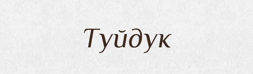 Туйдук — Великий тлумачний словник сучасної української мови