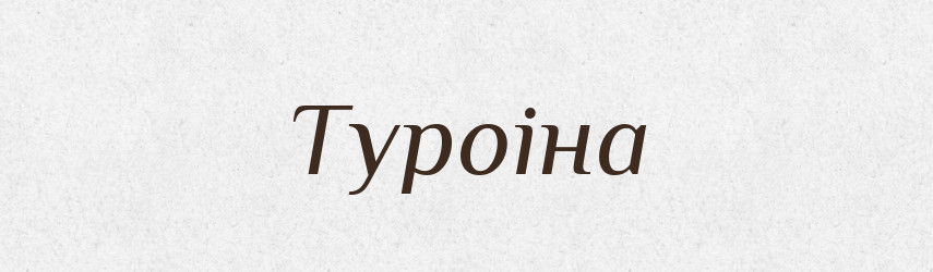 Туроіна — Великий тлумачний словник сучасної української мови