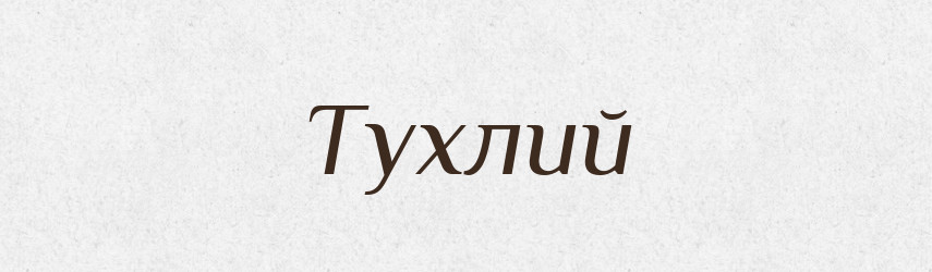 Тухлий — Великий тлумачний словник сучасної української мови