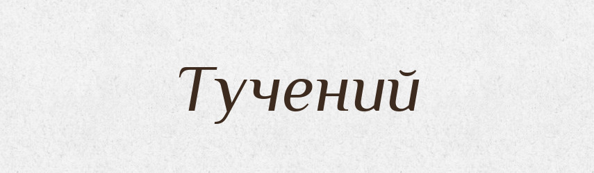 Тучений — Великий тлумачний словник сучасної української мови