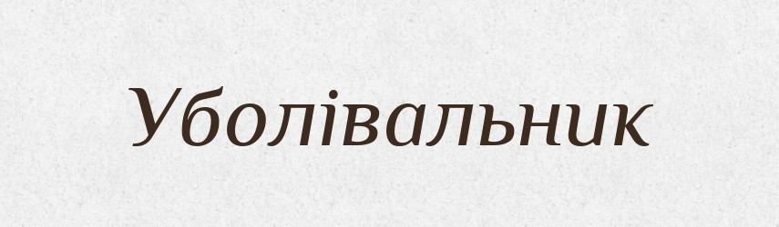 Уболівальник — Великий тлумачний словник сучасної української мови