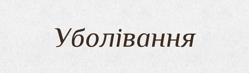 Уболівання — Великий тлумачний словник сучасної української мови