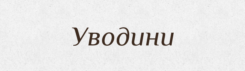 Уводини — Великий тлумачний словник сучасної української мови