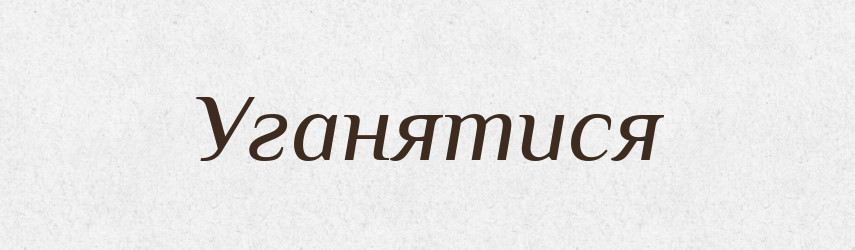 Уганятися — Великий тлумачний словник сучасної української мови