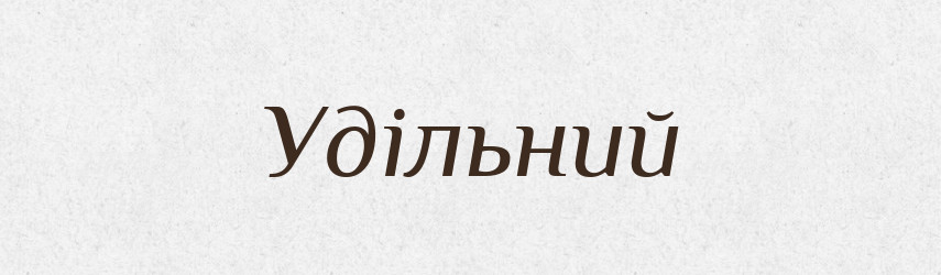 Удільний — Великий тлумачний словник сучасної української мови
