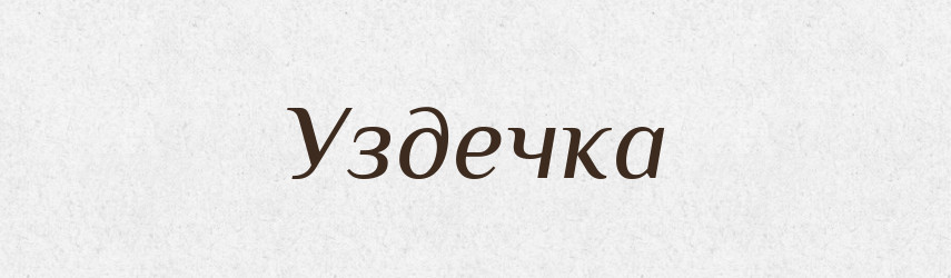 Уздечка — Великий тлумачний словник сучасної української мови