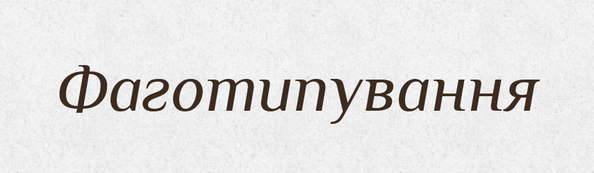 Фаготипування — Великий тлумачний словник сучасної української мови