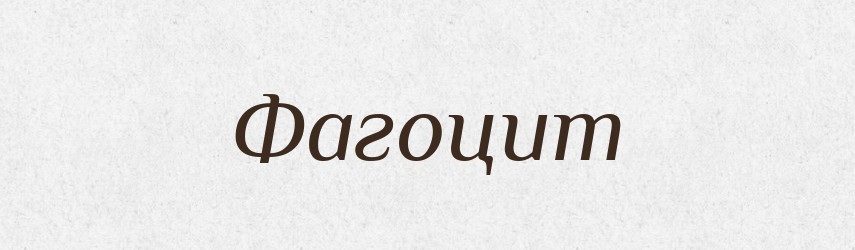 Фагоцит — Великий тлумачний словник сучасної української мови