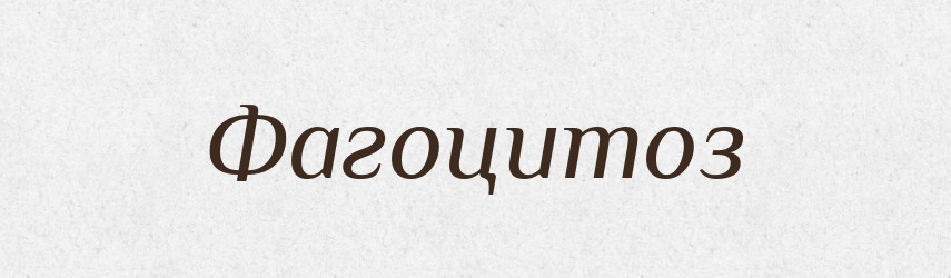 Фагоцитоз — Великий тлумачний словник сучасної української мови