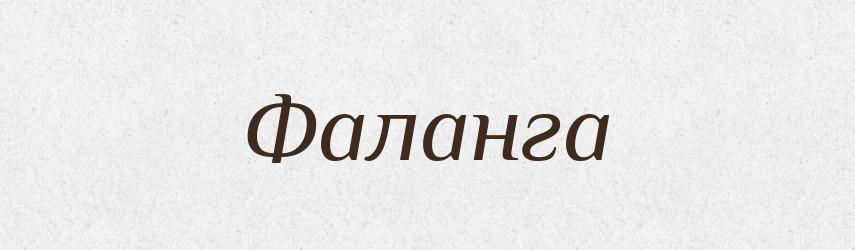 Фаланга — Великий тлумачний словник сучасної української мови