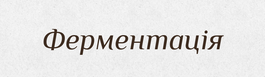 Ферментація — Великий тлумачний словник сучасної української мови
