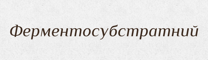 Ферментосубстратний — Великий тлумачний словник сучасної української мови