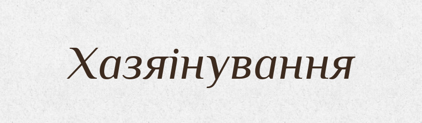 Хазяінування — Великий тлумачний словник сучасної української мови