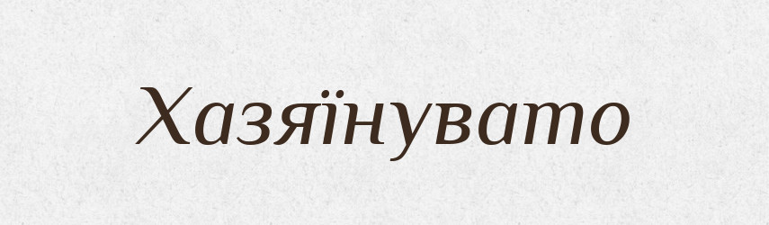 Хазяїнувато — Великий тлумачний словник сучасної української мови
