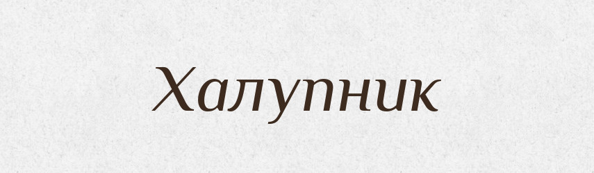 Халупник — Великий тлумачний словник сучасної української мови