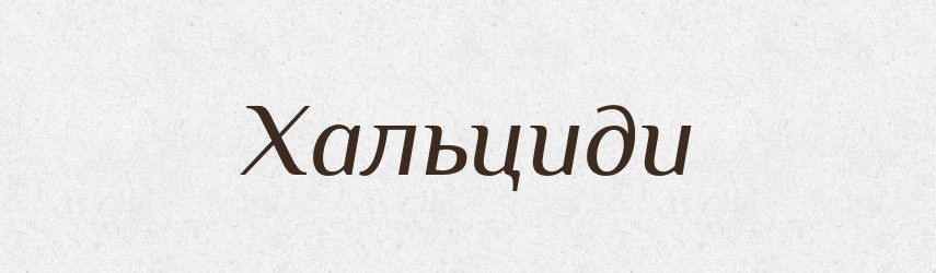 Хальциди — Великий тлумачний словник сучасної української мови