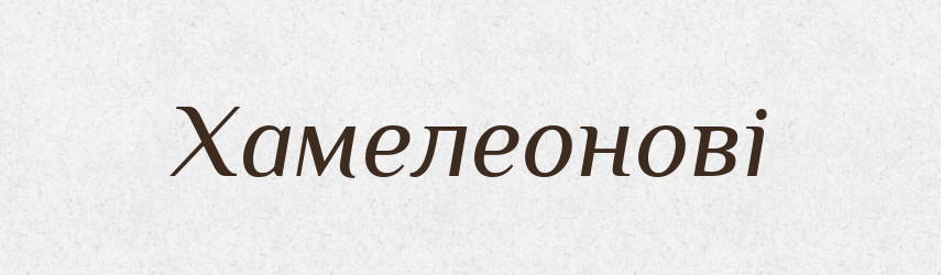 Хамелеонові — Великий тлумачний словник сучасної української мови