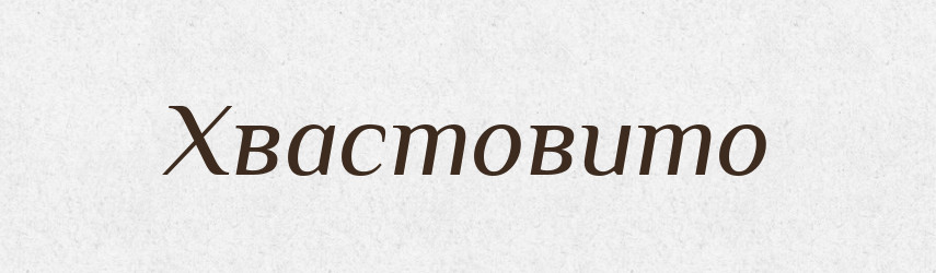 Хвастовито — Великий тлумачний словник сучасної української мови