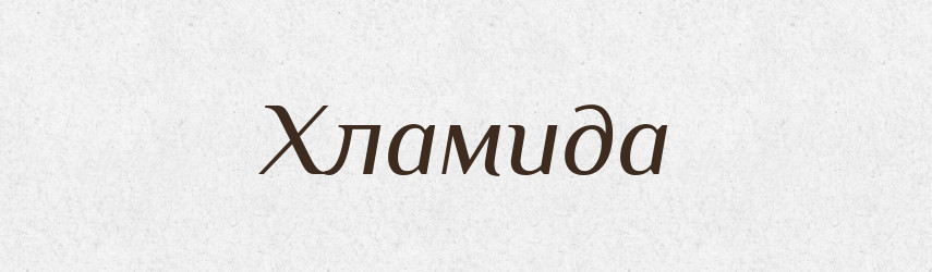 Хламида — Великий тлумачний словник сучасної української мови