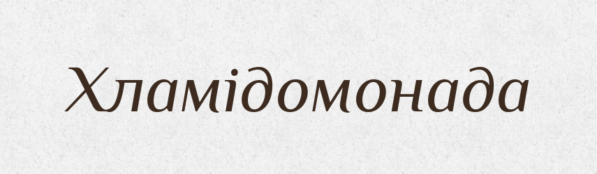 Хламідомонада — Великий тлумачний словник сучасної української мови
