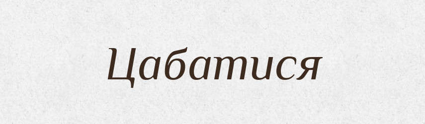 Цабатися — Великий тлумачний словник сучасної української мови