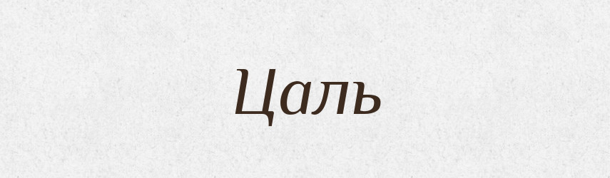 Цаль — Великий тлумачний словник сучасної української мови