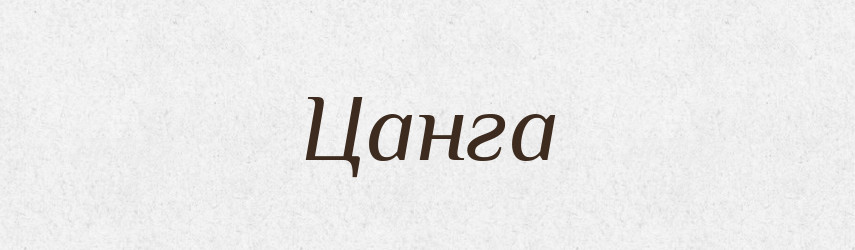 Цанга — Великий тлумачний словник сучасної української мови