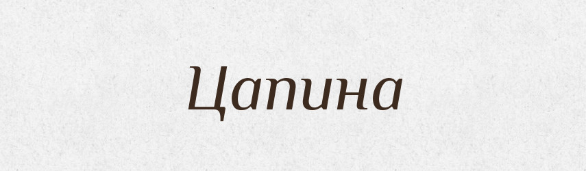Цапина — Великий тлумачний словник сучасної української мови