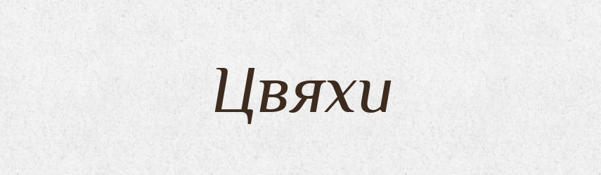Цвяхи — Великий тлумачний словник сучасної української мови