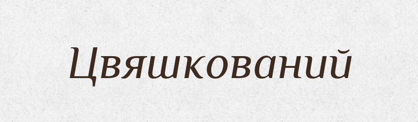 Цвяшкований — Великий тлумачний словник сучасної української мови